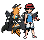 tapukoko and main.png