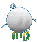 tarountula.gif