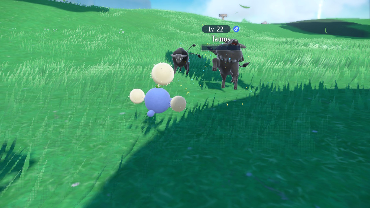 Tauros Fight.jpg