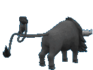 tauros-paldea-water.gif