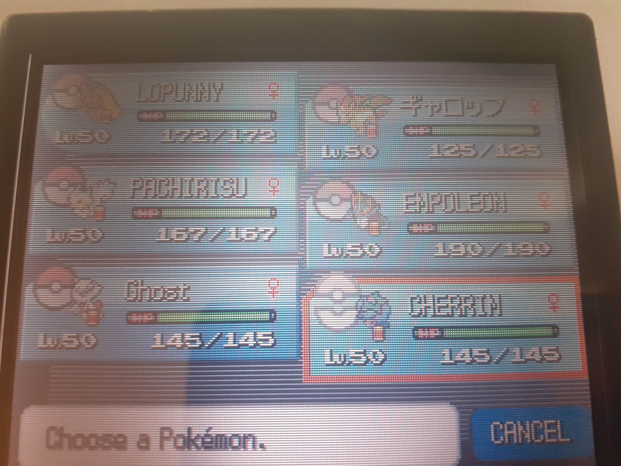 team.jpg