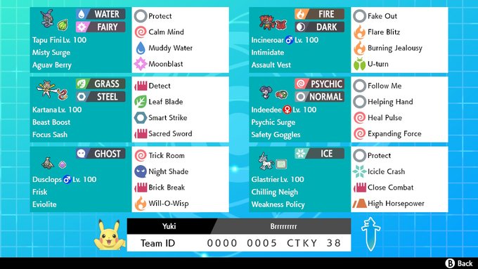 team max.jpg
