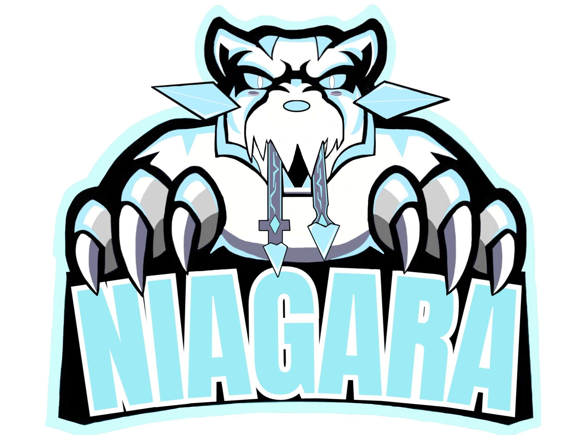 Team Niagara.jpg