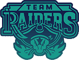 Team-Raiders.gif