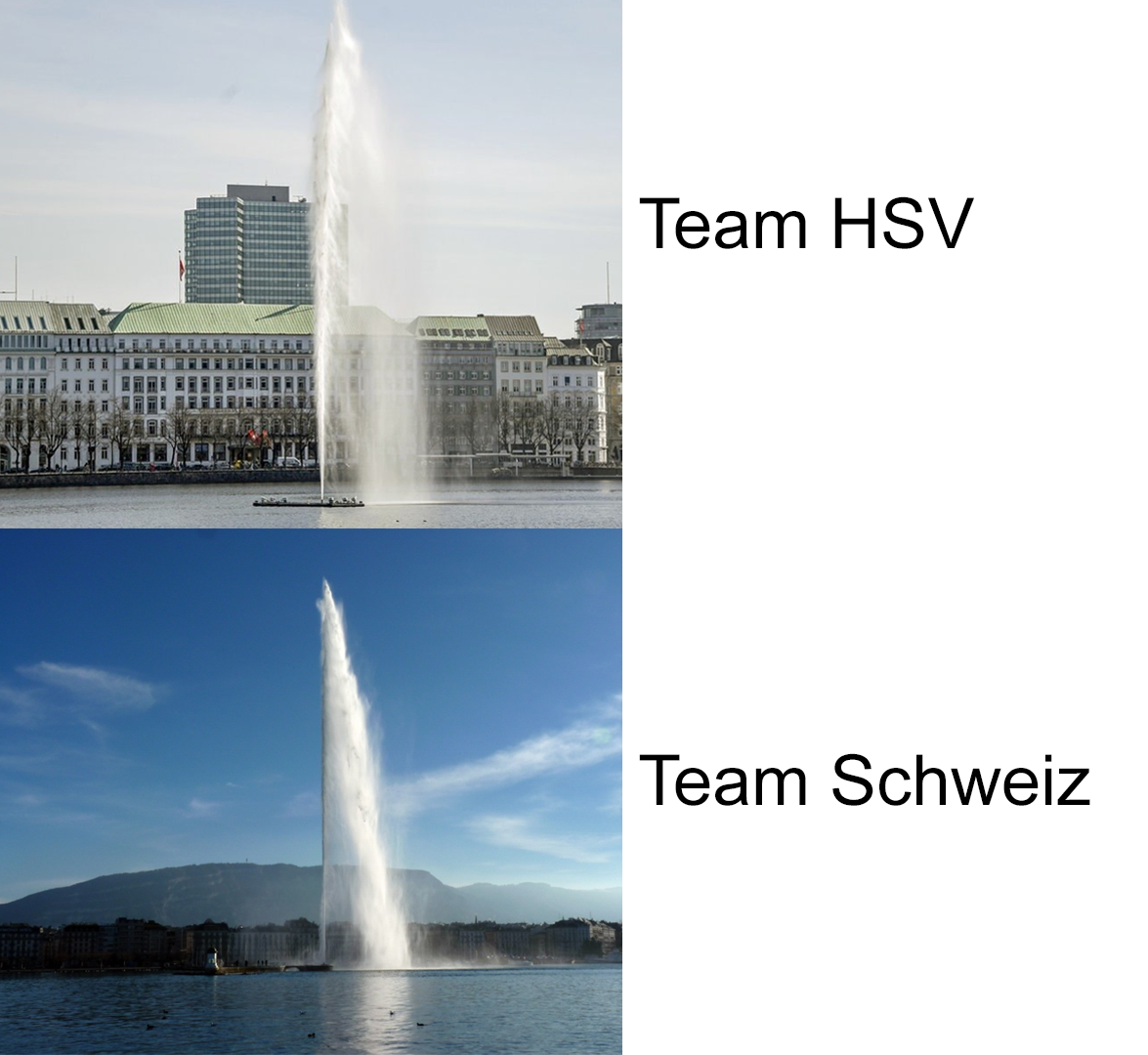 team schweiz meme.png