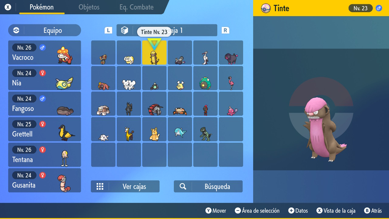 team so far.jpg