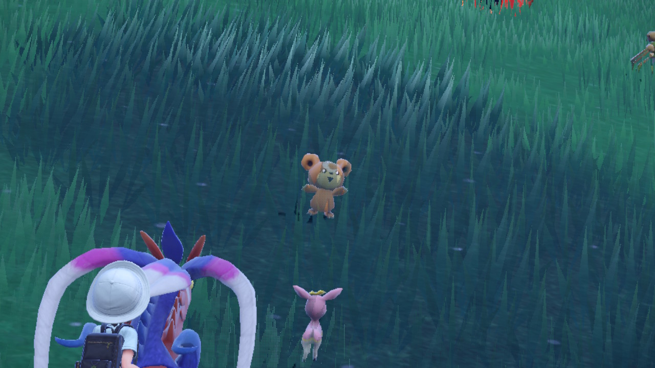 Teddiursa Farm.jpg