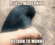 tenor (1).gif