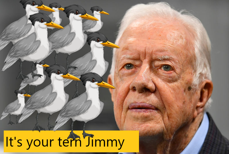 ternsjim.png