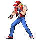 TerryBogard.png