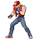 TerryBogard2.png