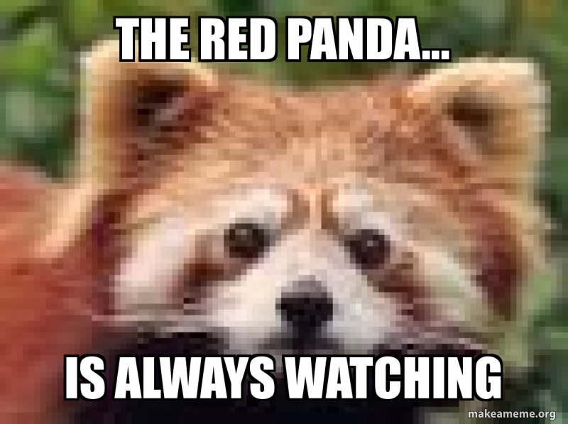 the-red-panda-d289a5bfcc.jpg