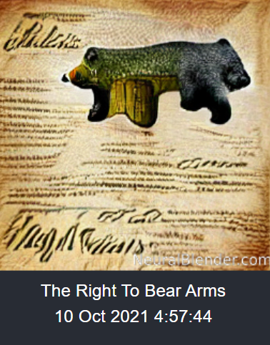 the right to bear arms.png