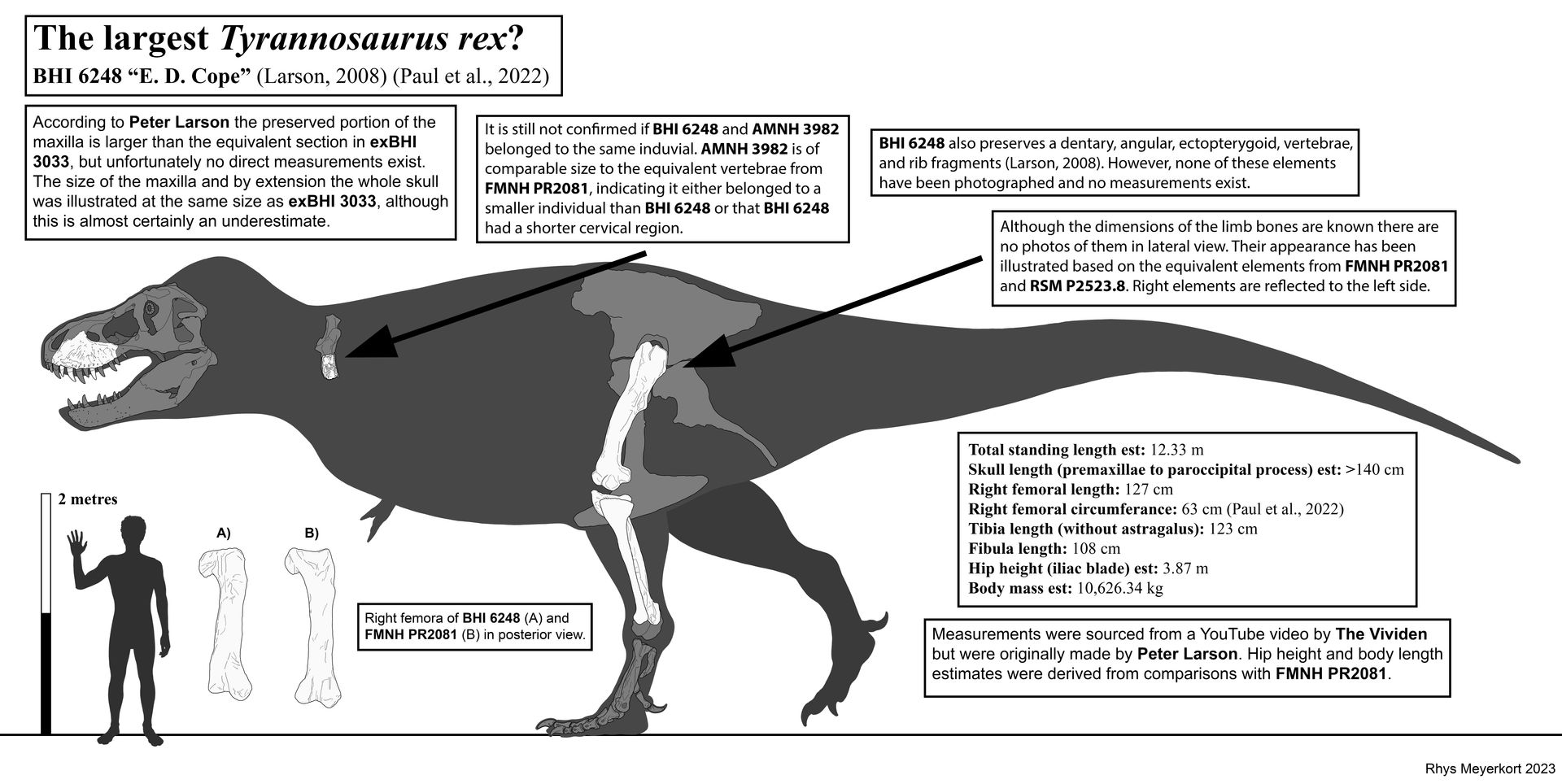 the_largest_t__rex__bhi_6248__e__d__cope__by_paleonerd01_dgfnvav-fullview.jpg