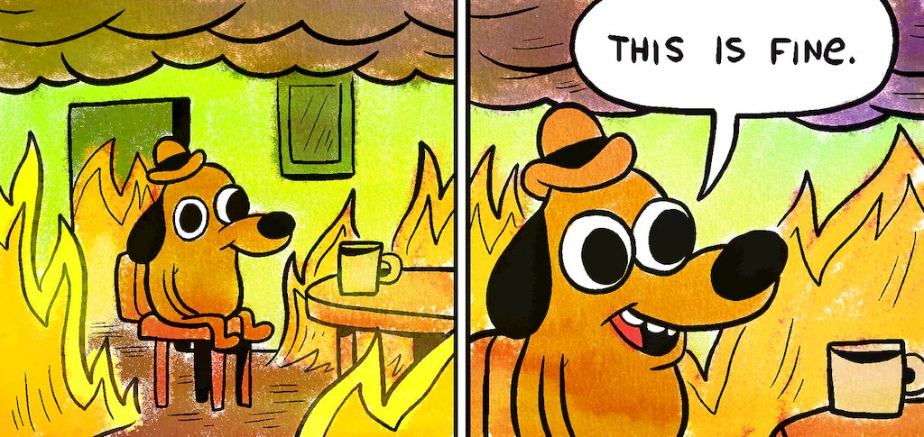 this is fine.jpg