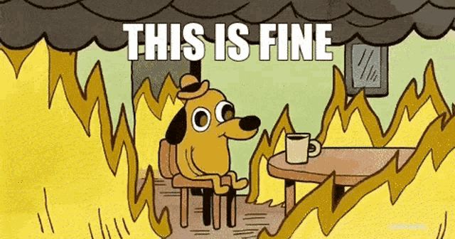 this-is-fine-meme.jpg