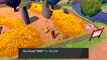 tm07.jpg