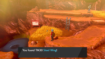 tm30.jpg