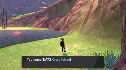 tm73.jpg