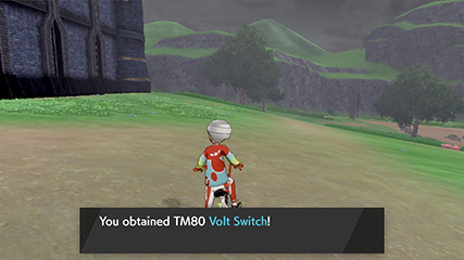 tm80a.jpg