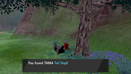 tm84a.jpg