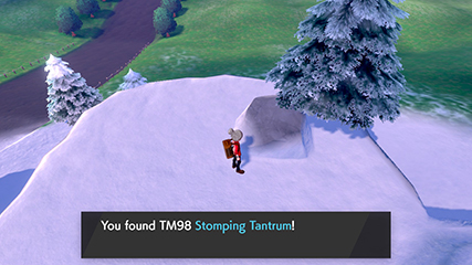 tm98.jpg