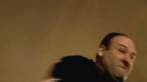 tony-soprano-498-x-280-gif-7q7t94ypd6p9xi4d.gif
