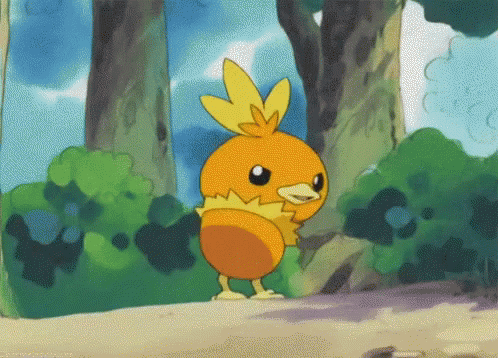 torchic-dat.gif