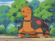 torkoal-turtle.gif