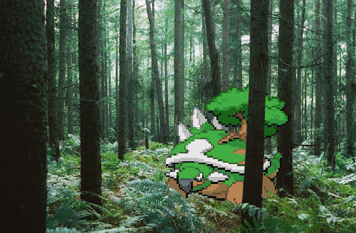 Torterra.gif