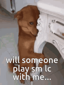 tsb-smlc.gif