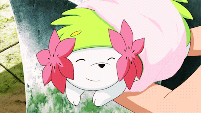tumblr_9165e9dbdd204e1a4dc306013762250e_4a0ff7be_400.gif
