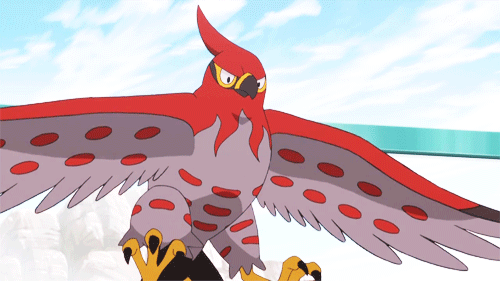 tumblr_n9817fY9qc1qckwxco1_500.gif