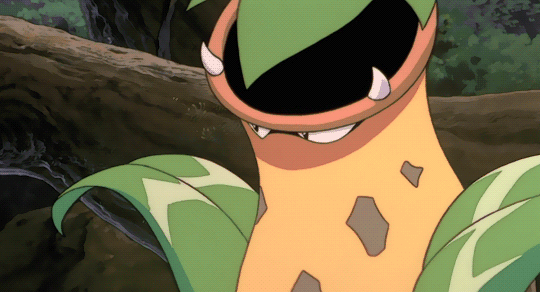 tumblr_p5qzsfjVEL1wznc1eo1_540.gif