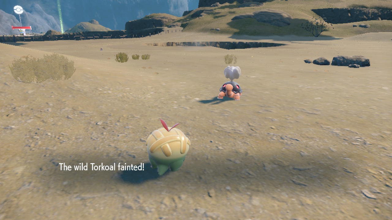 Turtle Gone.jpg