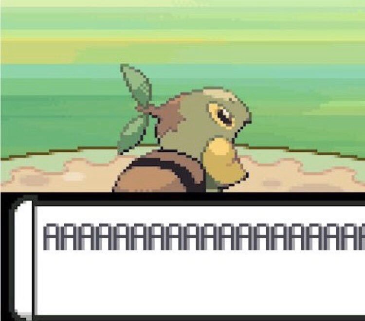 Turtwig AAAAAAAAAA.jpg