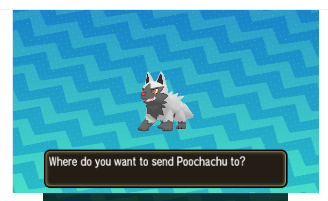 u2 - 16 poochachu.PNG