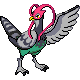 Unfezant..png
