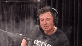 UnimportantUnselfishAsiandamselfly-max-1mb.gif