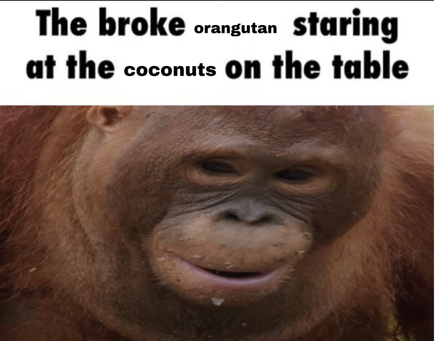 Untitcoconutsed drawing-2.png