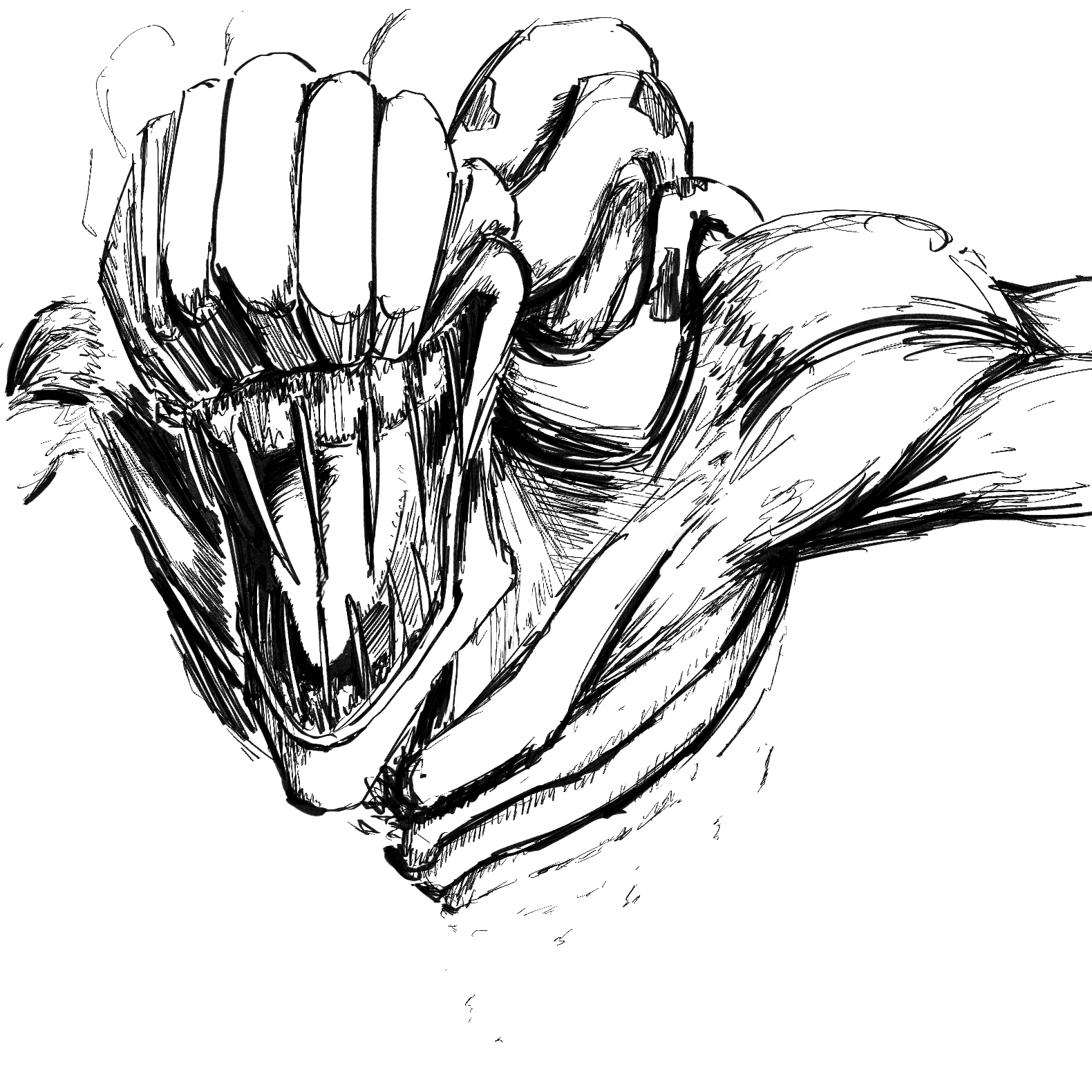 Untitled_Artwork 13.png