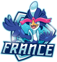 UU world cup france.png