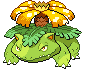 venugif.gif