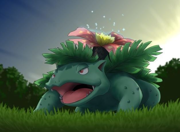venusaur.jpg