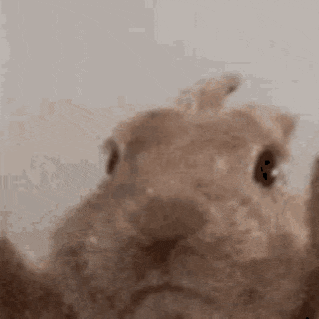 vibe-rabbit.gif