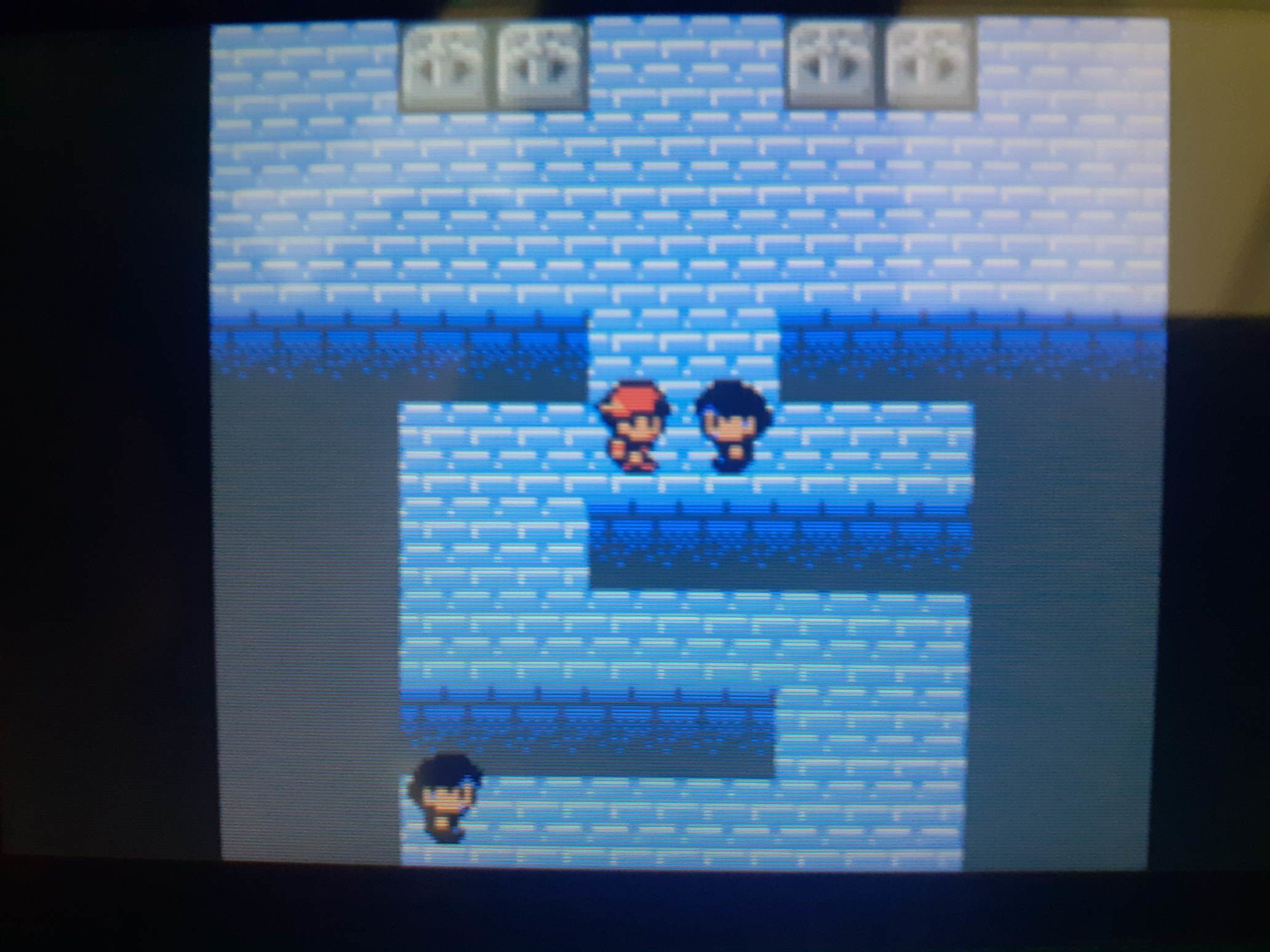 violet gym.jpg