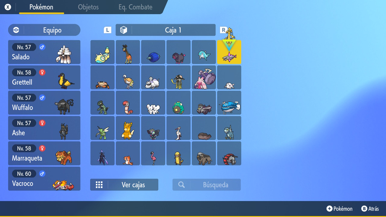 violet team.jpg