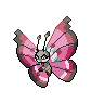 vivllion-front.gif