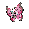 vivllion-front.gif