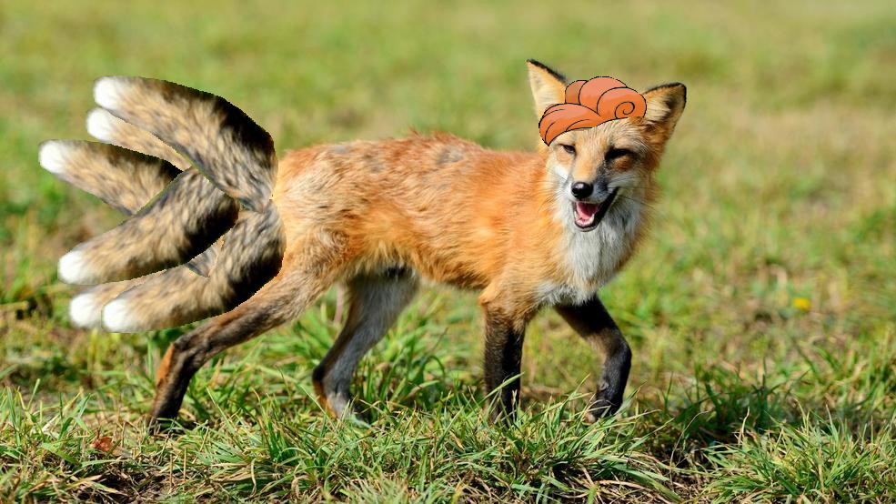 vulpix.png